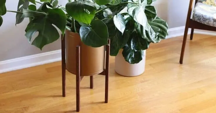 Image for DIY Plant Pot Stand 