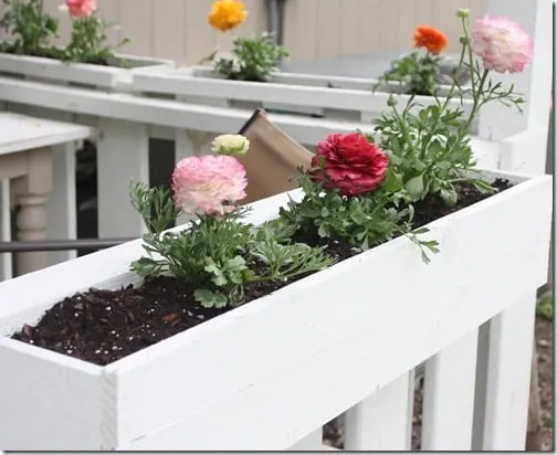 Image for How to Make Easy DIY Flower Boxes 
