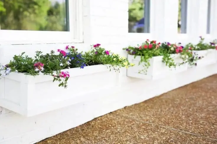 Image for Easy DIY Window Boxes