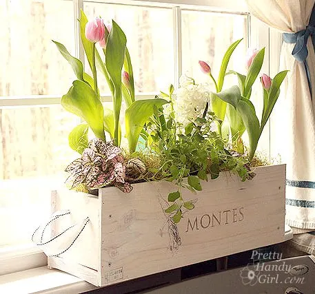 Image for Window Box from a Wine Crate