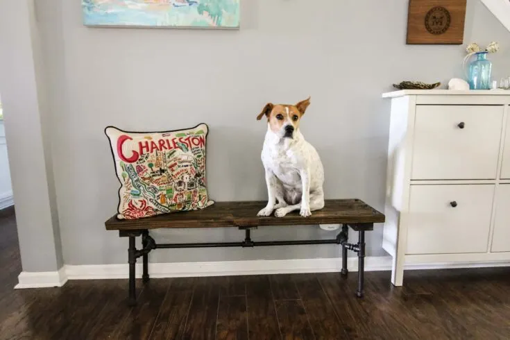 Image for DIY Industrial Pipe Bench