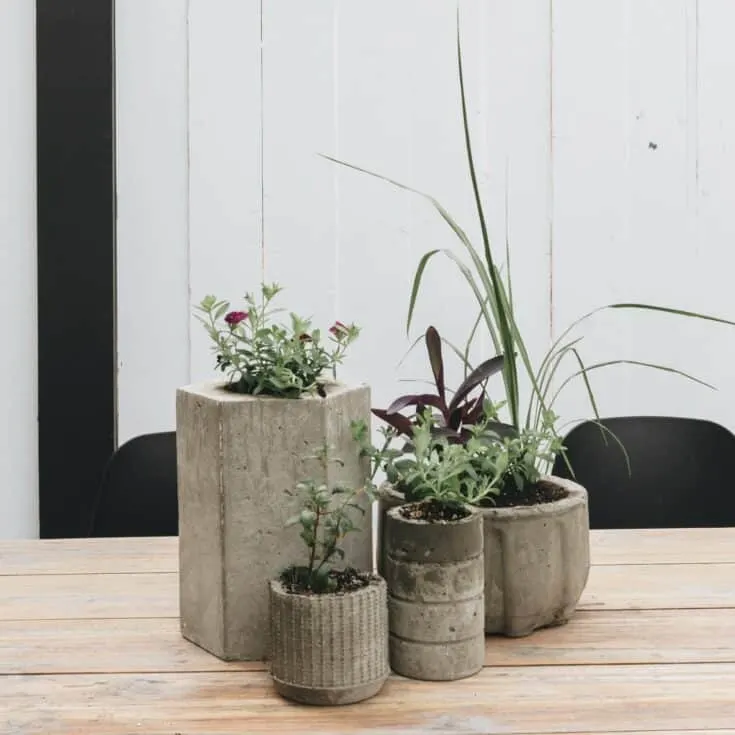 Image for Easy DIY Concrete Planters