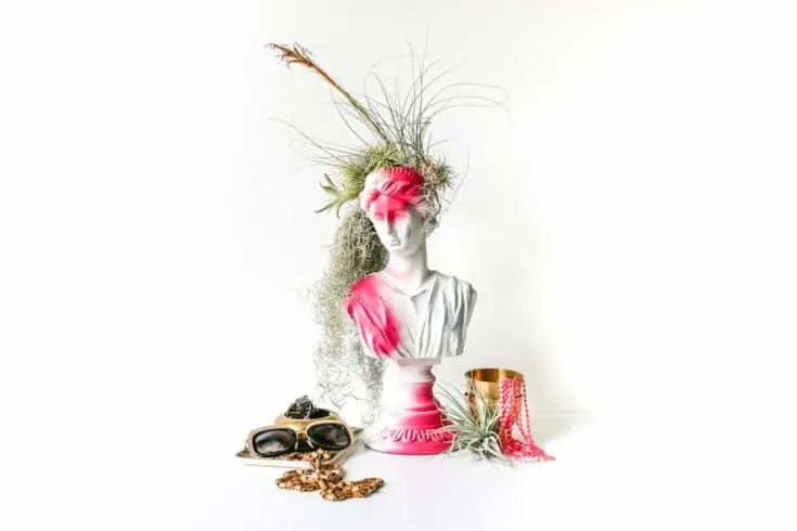 Image for Bust Statue DIY Air Plant Planter