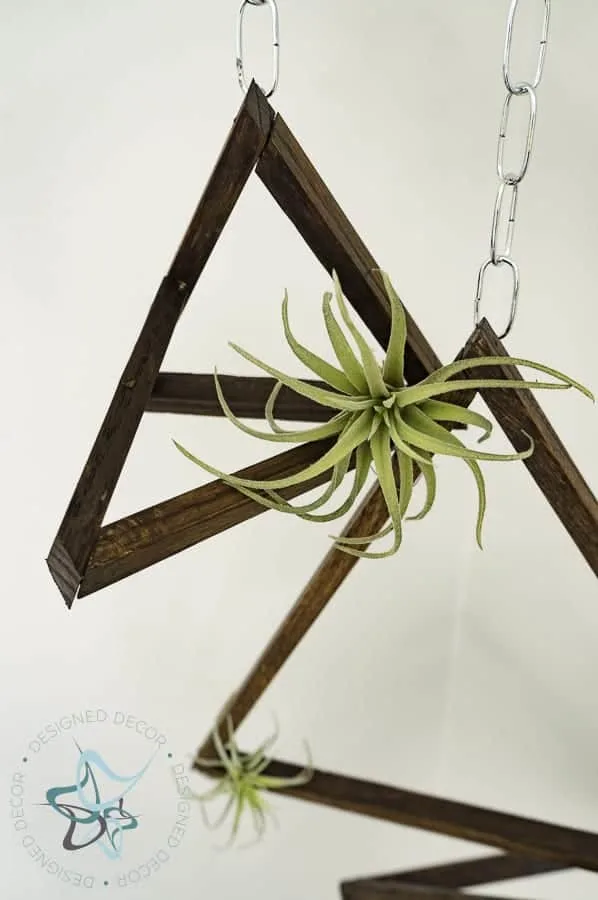 Image for DIY Hanging Air Plant Holder