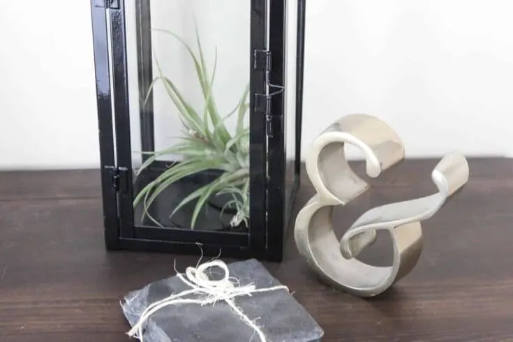 Image for Air Plant Terrarium