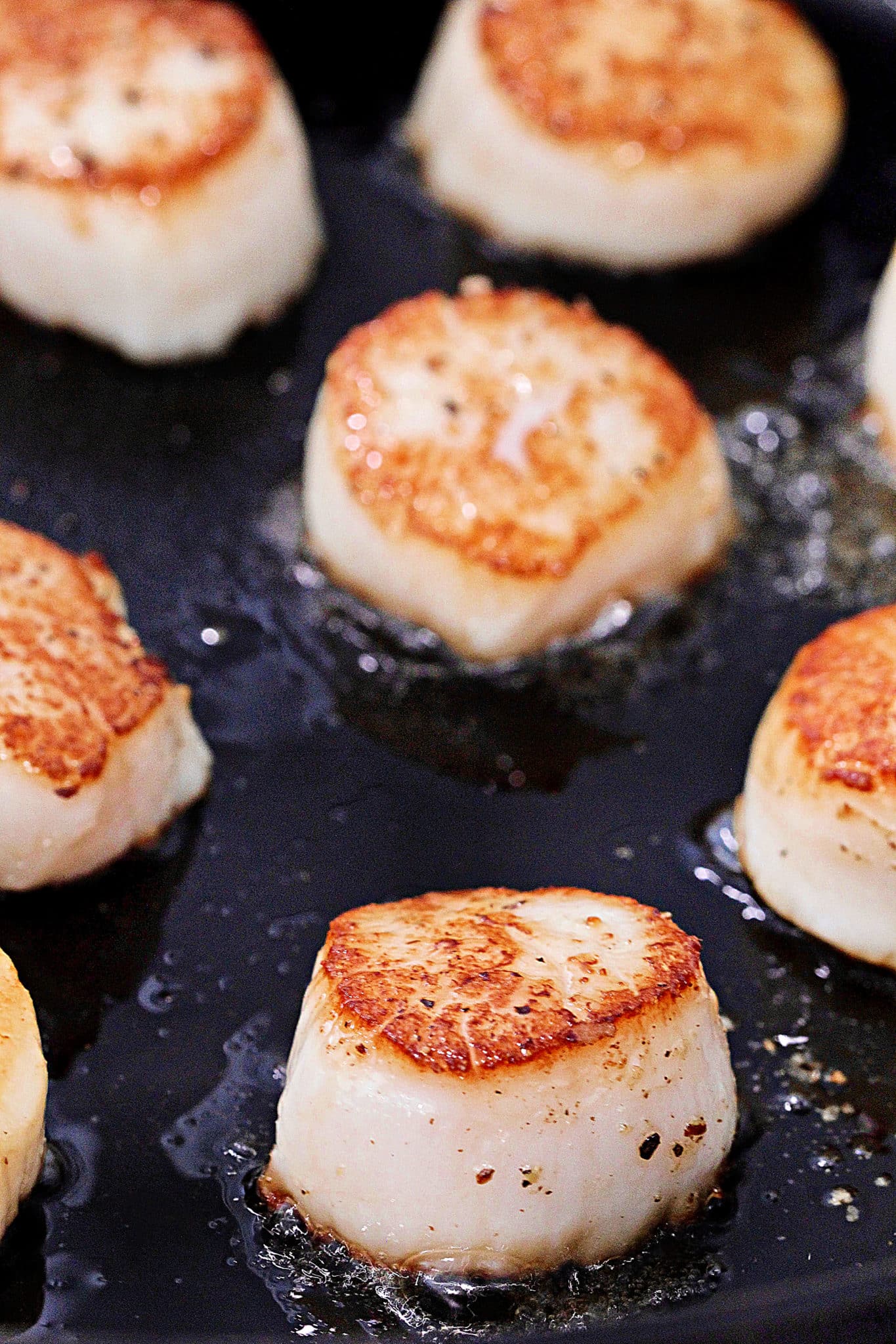 Seared Scallops