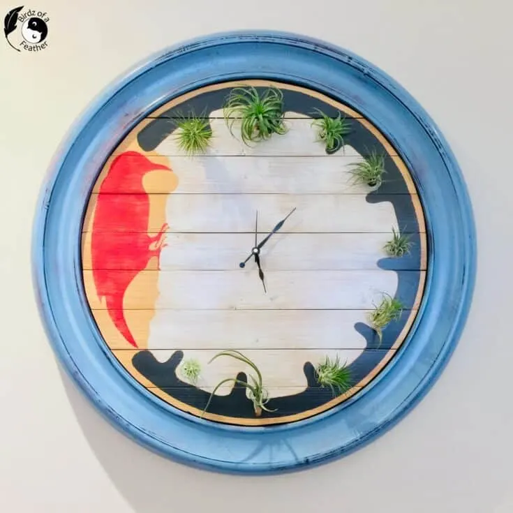 Image for Wooden Clock Air Plant Holder