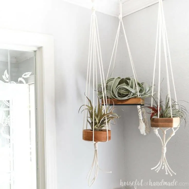 Image for Hanging Air Plant Holder DIY