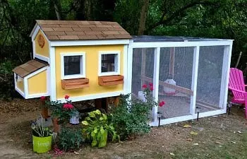 Image for Colorful Chicken Coop