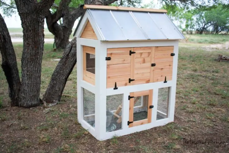Image for Small DIY Chicken Coop