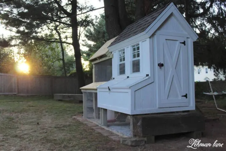 Image for DIY Chicken Coop & Run