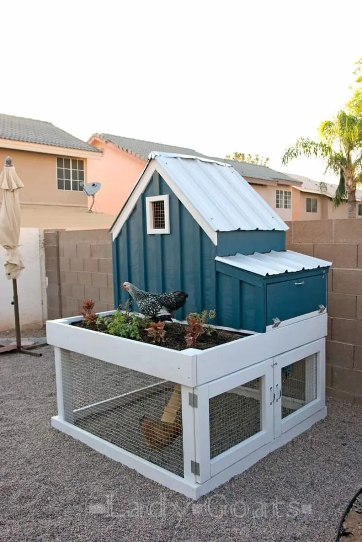Image for DIY Chicken Pen
