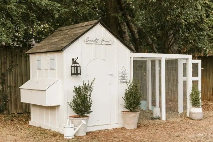 Image for DIY Chicken Coop