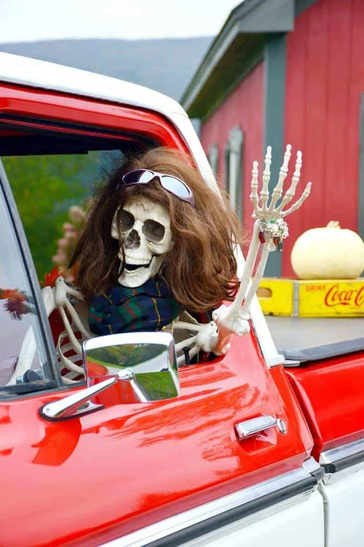 Image for Halloween Skeleton Fun