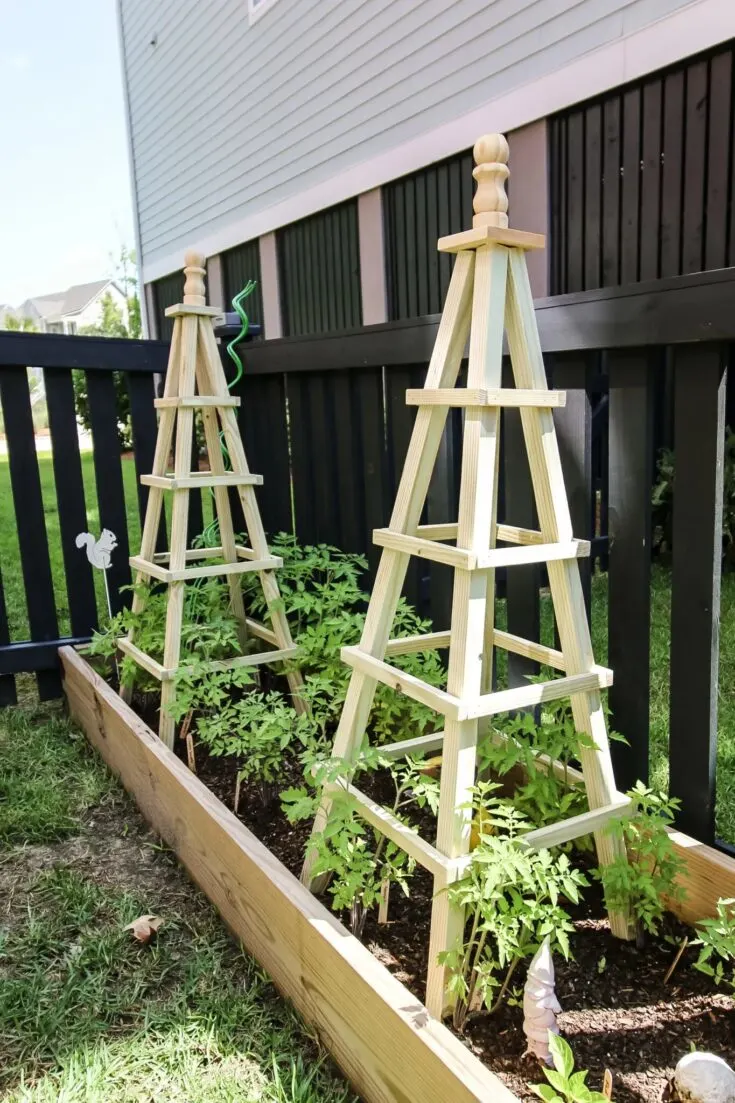 Image for DIY Wooden Tomato Cage