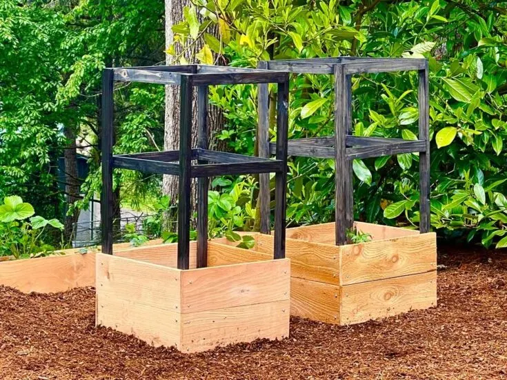 Image for Tomato Cage Planter