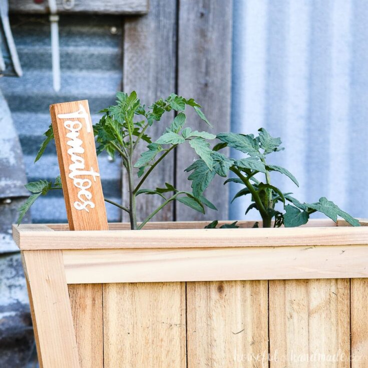Image for DIY Inlay Garden Markers