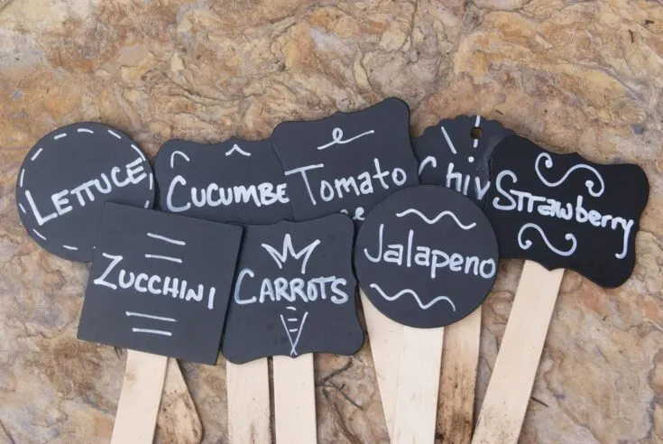 Image for DIY Garden Plant Signs