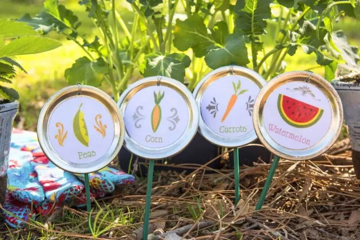 Image for Mason Jar Lid Garden Labels
