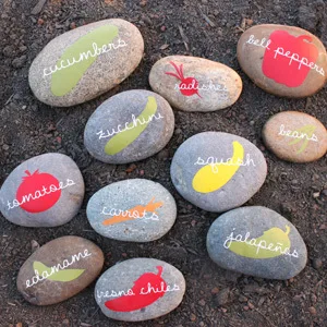 Image for Rock Plant Labels