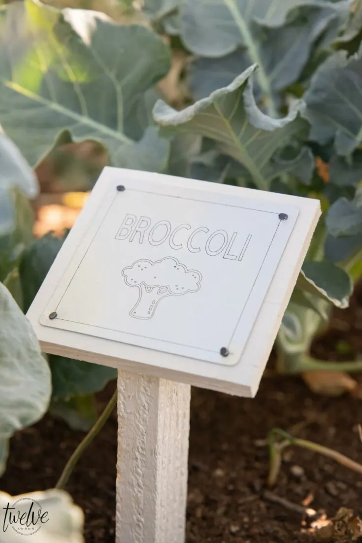 Image for Easy DIY Garden Signs 