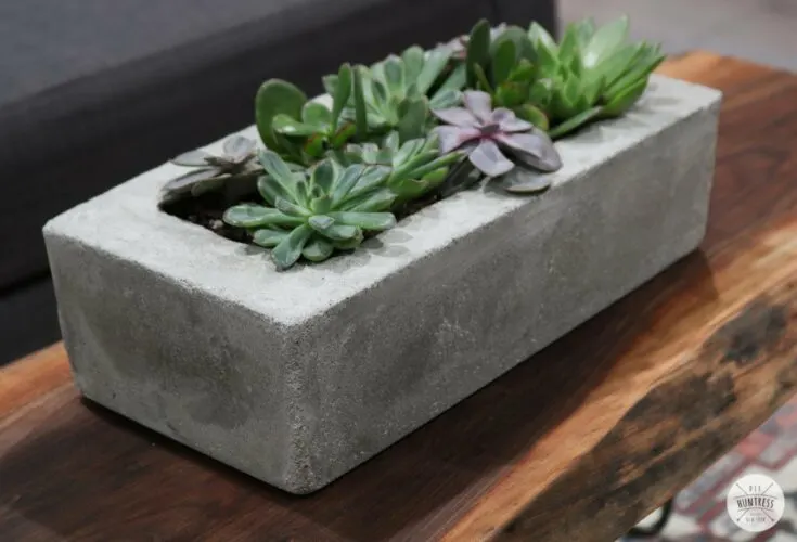 Image for DIY Easy Concrete Planter