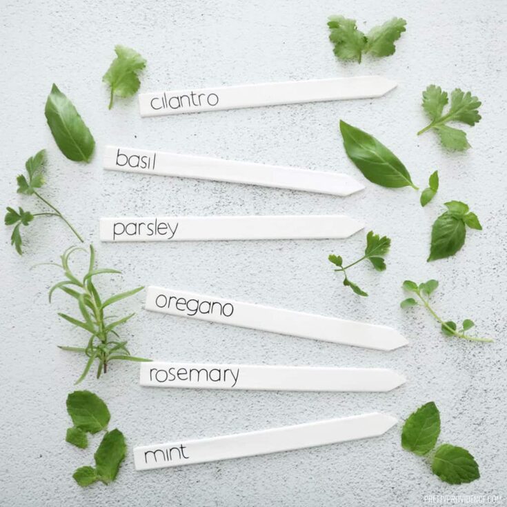 Image for DIY Plant Labels