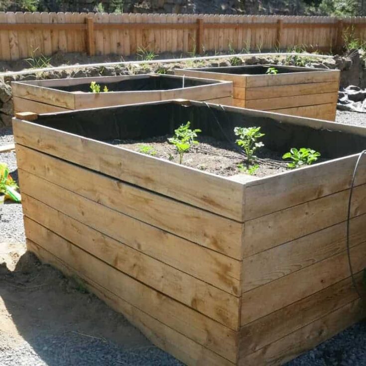 Image for Extra Tall Raised Beds