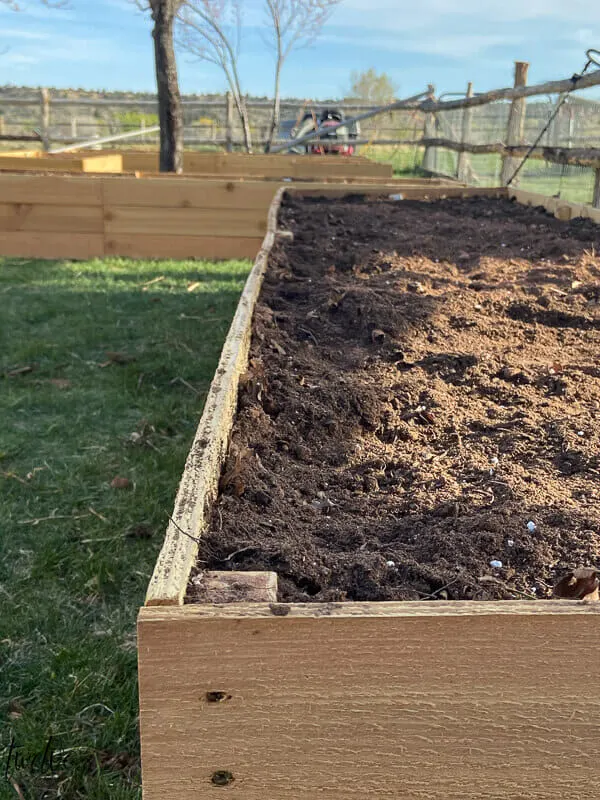 Image for Inexpensive Raised Planter Boxes 