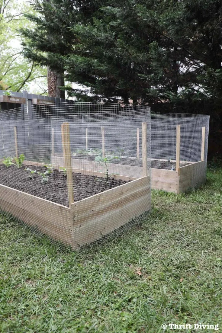 Image for Raised Garden Bed With Deer Fence