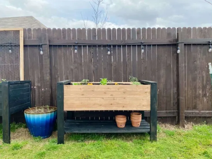 Image for Raised Planter Bed with Shelf