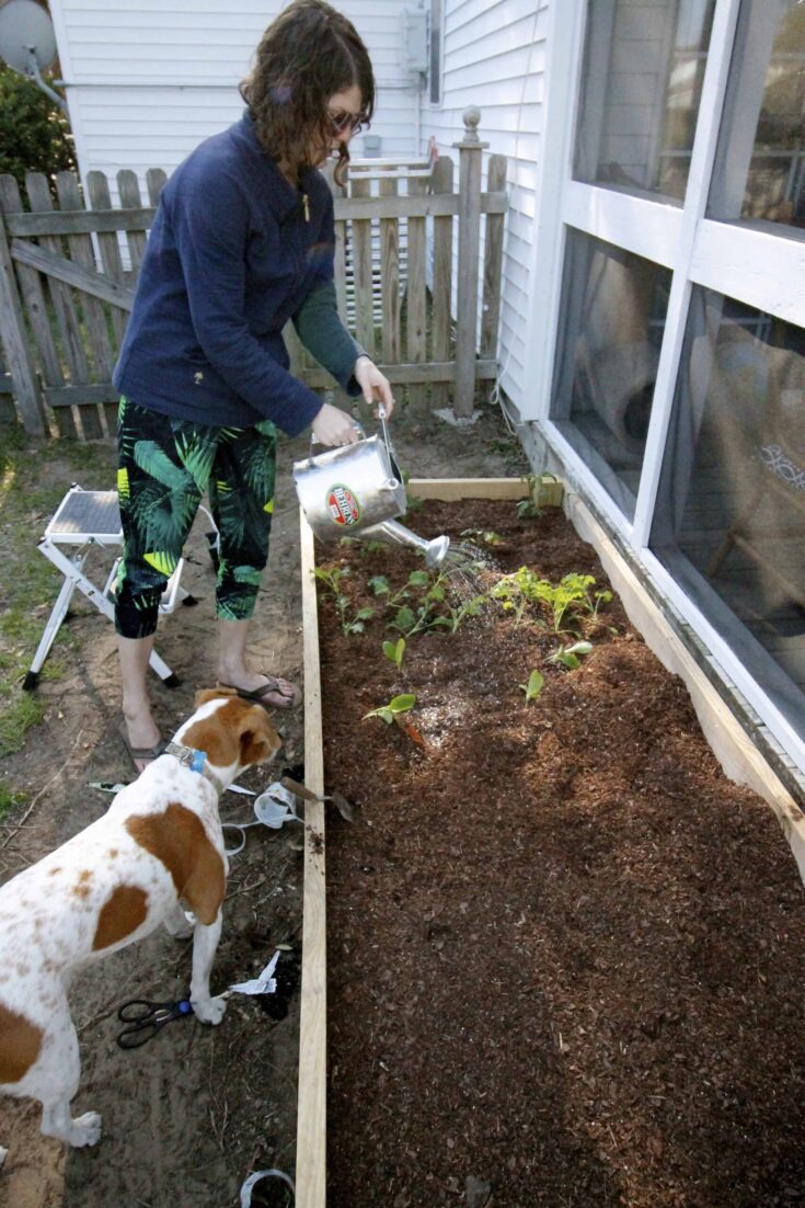 Image for Cheap & Easy Raised Garden Bed