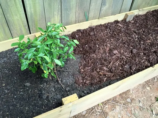 Image for DIY Raised Garden Beds
