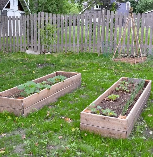 Image for Narrow Raised Garden Bed