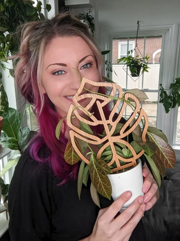 Image for DIY Houseplant Trellis 