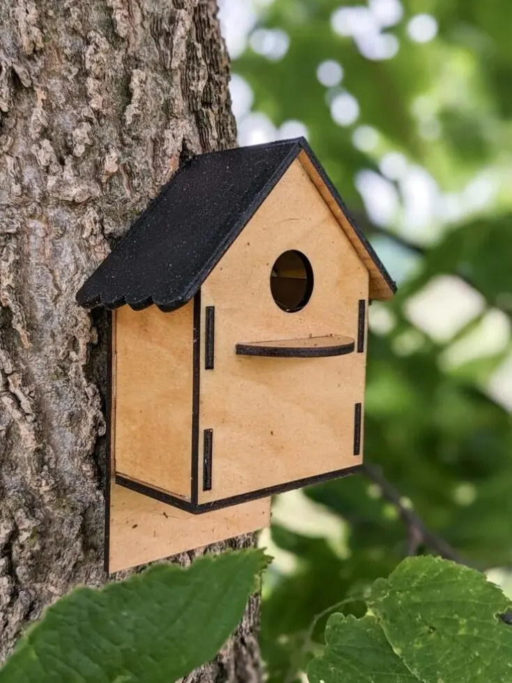 Image for Laser Cutter Bird Houses