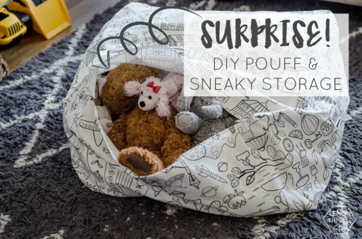 Image for DIY Stuffed Animal Storage Bag