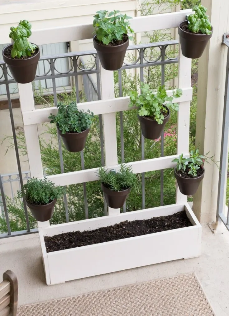 Image for Vertical Balcony Garden