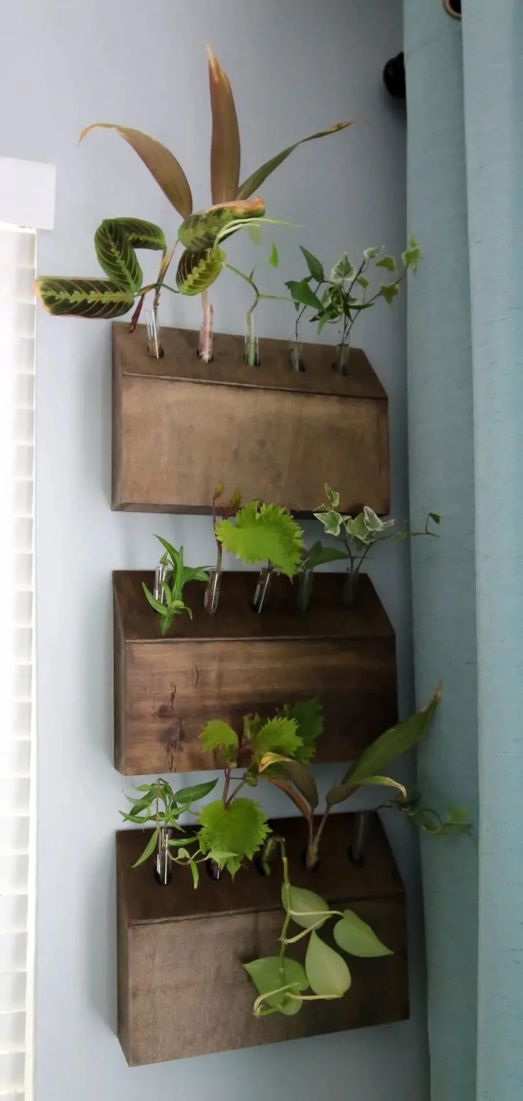 Image for Wall Hanging Test Tube Planter