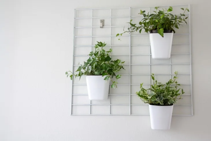 Image for DIY Living Wall Planter 