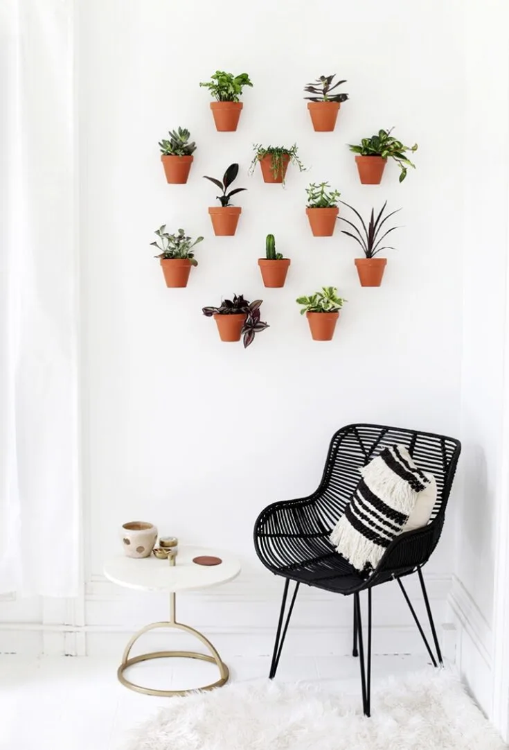 Image for DIY Plant Pot Wall