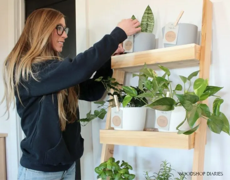 Image for DIY Plant Ladder Shelf