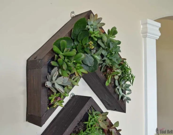 Image for Succulent Planter for the Wall