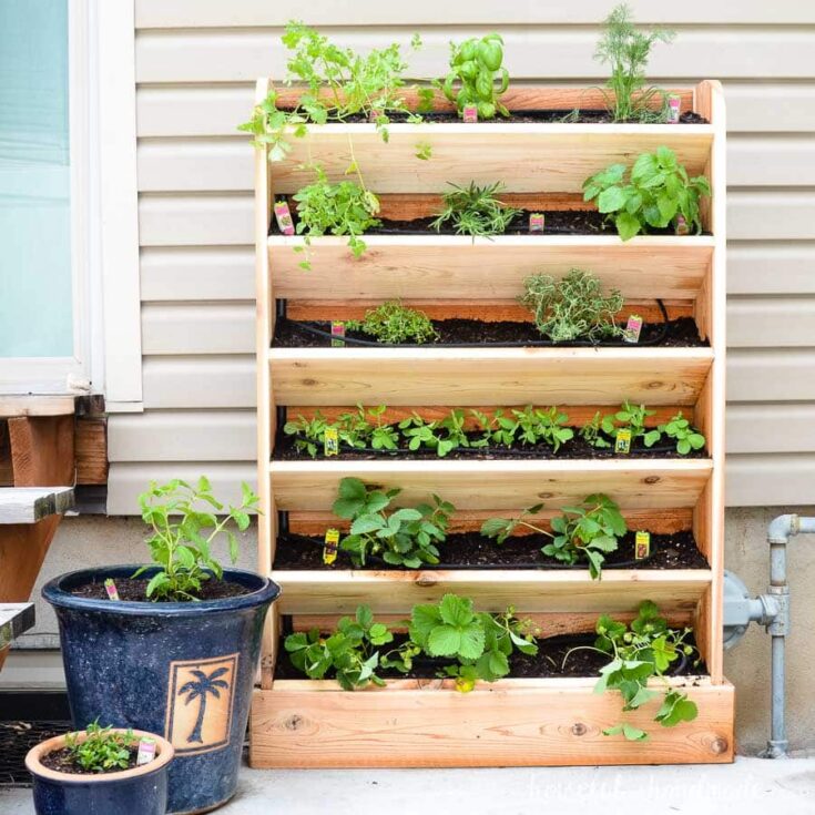 Image for DIY Vertical Planter with Drip Watering System