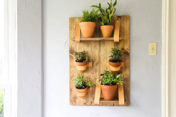 Image for DIY Vertical Wall Planter