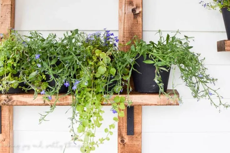 Image for Vertical Plant Garden