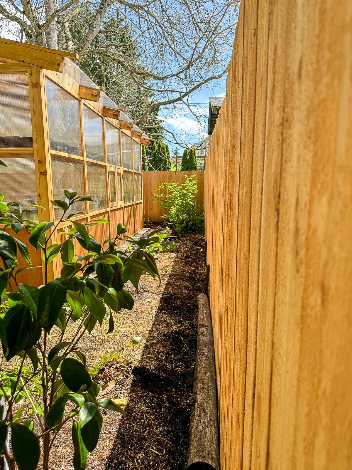 replaced fence panels behind greenhouse