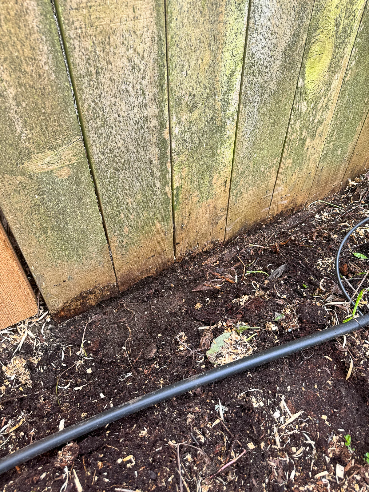 base of old fence with soil pulled away from the boards