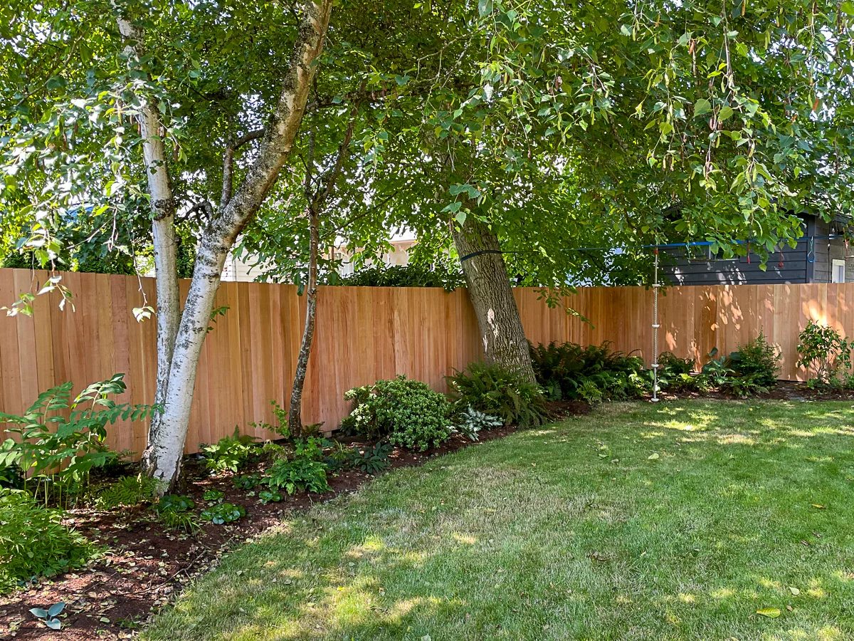 new back fence