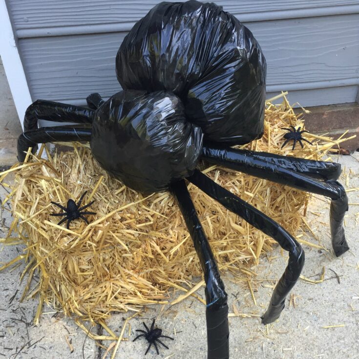 Image for Giant Halloween Spider